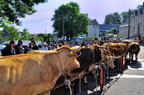 Foire du 17 août à Nasbinals